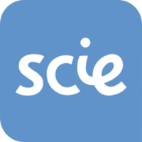 www.scie.org.uk